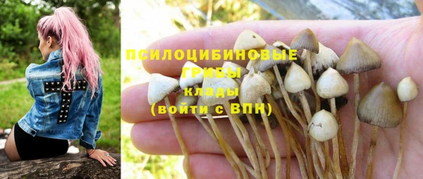 эйфоретик Алексеевка