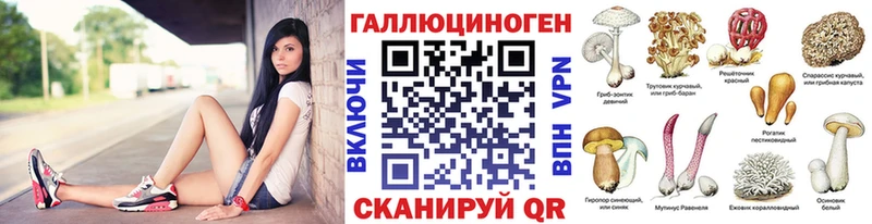 Купить  Коломна  Псилоцибиновые грибы Psilocybe 